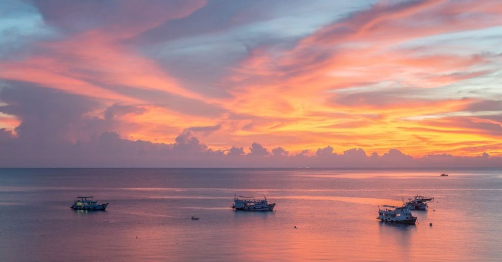 Sunset Cruise In Cornwall - Modern ships sailing in sea during majestic sundown