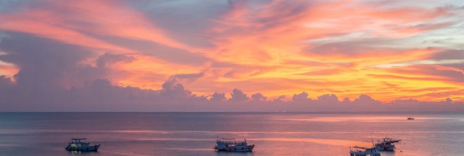 Sunset Cruise In Cornwall - Modern ships sailing in sea during majestic sundown