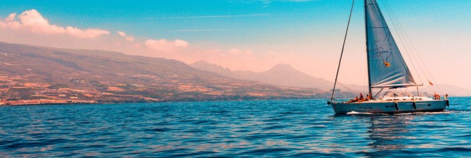 Sailing - Sailboat Sailing on Water Near Island