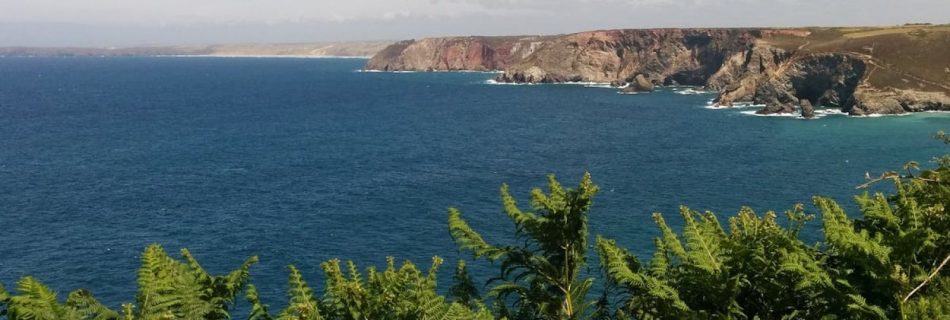 Cornwall - Green Ferns Near Body Of Water