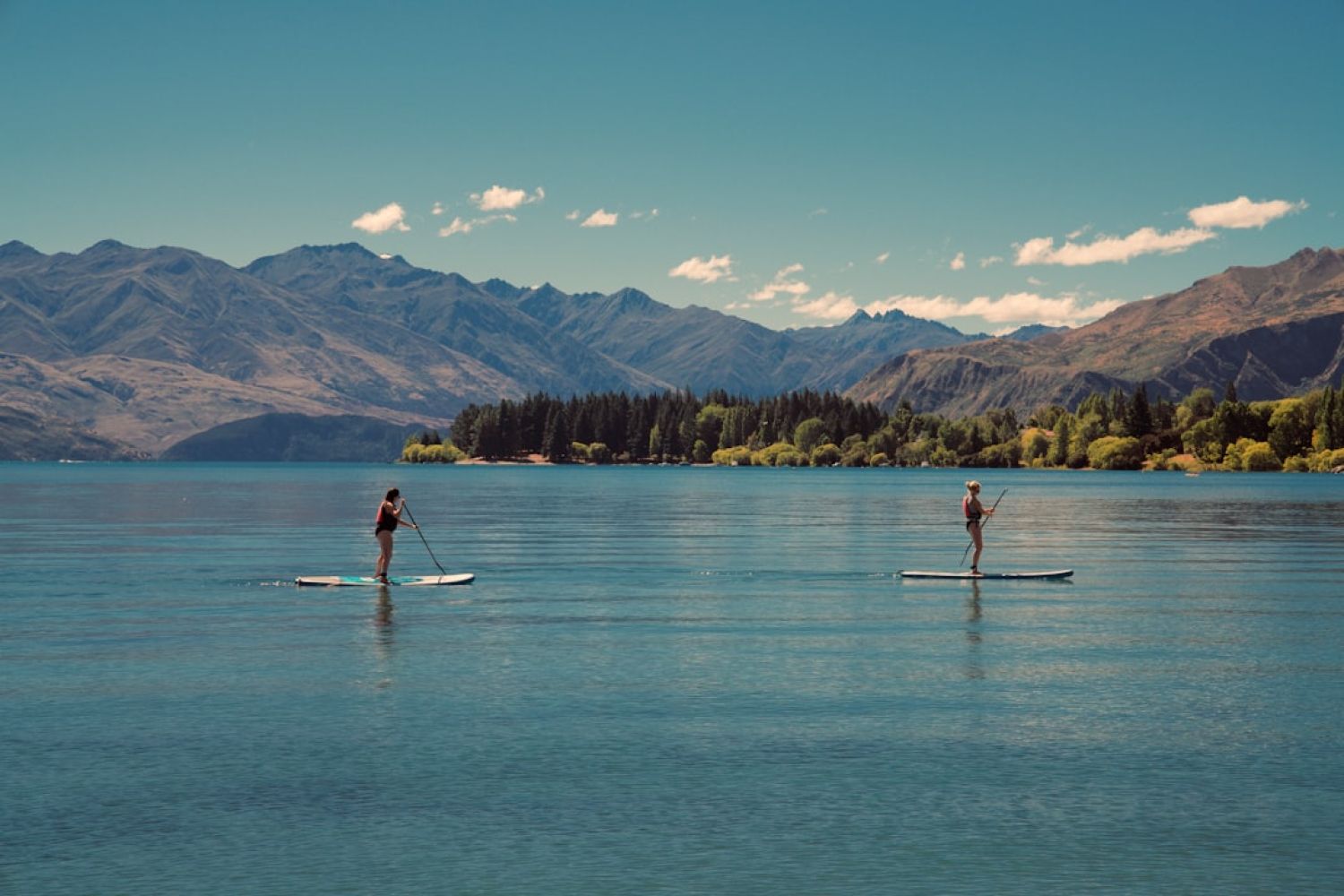 Paddleboarding - two person riding on paddle boards during daytime