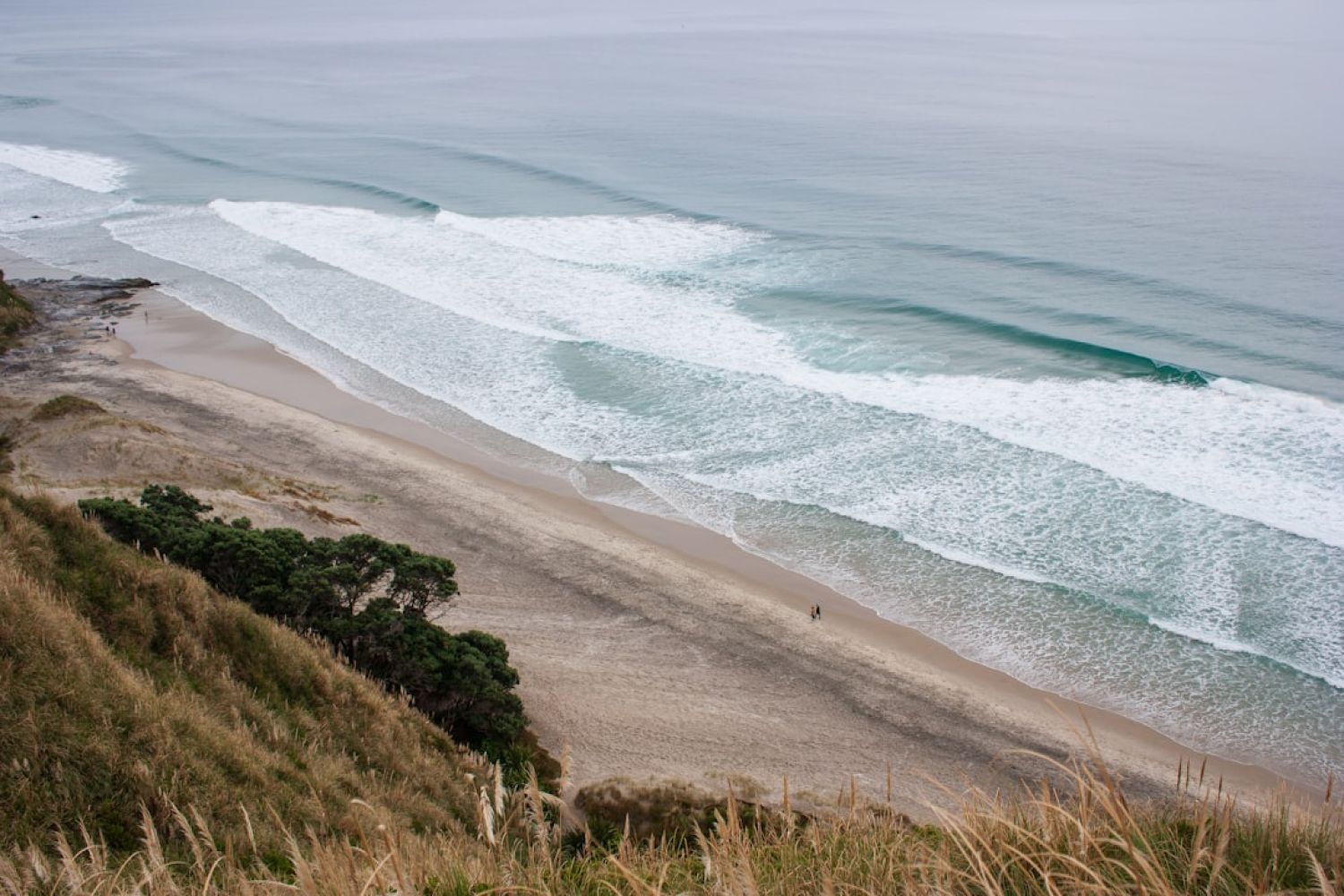 Coastal Walks - aerial view photography of body of water during daytime